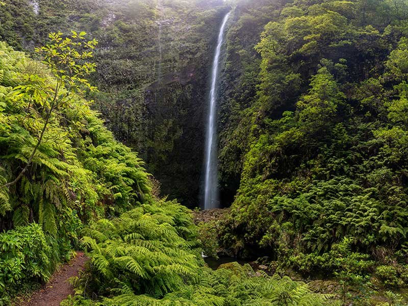 Levada do Caldeirão Verde